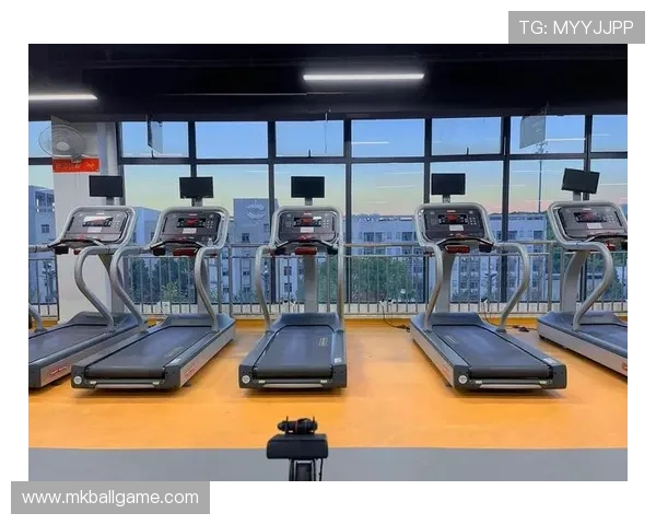 vsport多功能运动平台助你实现全方位健身目标提升体验