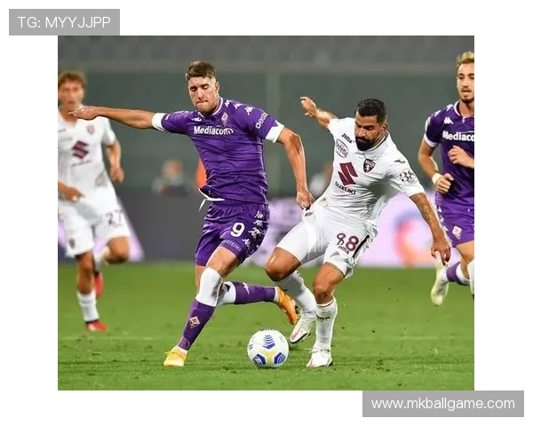 中欧体育kok入口使用技巧与注意事项，提升用户体育赛事观看体验