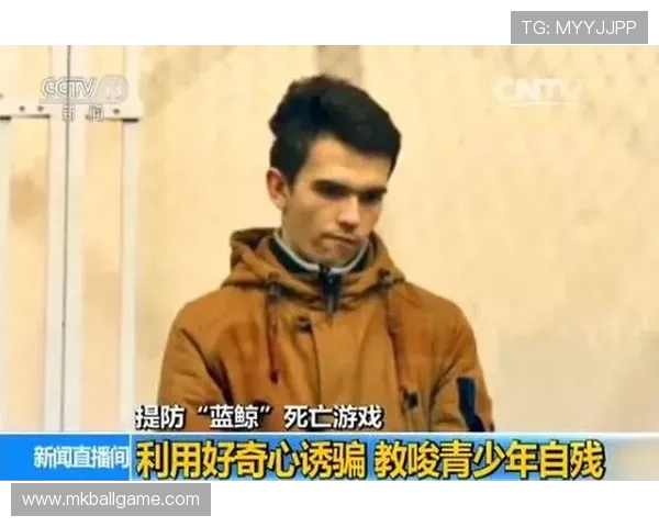 蓝鲸中文站如何通过专业内容提升玩家的游戏体验