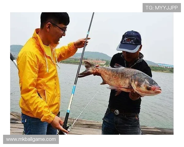 选择鱼跃龙门电子设备提升游戏体验的五大实用技巧详解